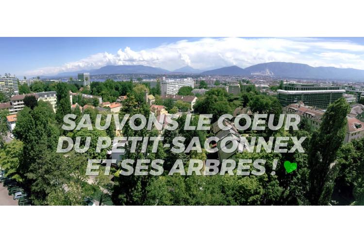 Association pour la Sauvegarde du Petit-Saconnex Village - Sauvons le coeur du Petit-Saconnex et ses arbres